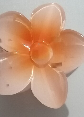  Beden Lotus toka