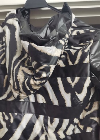 Zebra Desenli mont - Görsel 4