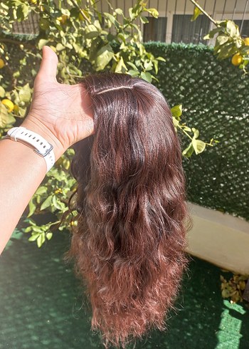 Kizilimsi kahverengi peruk - Görsel 6