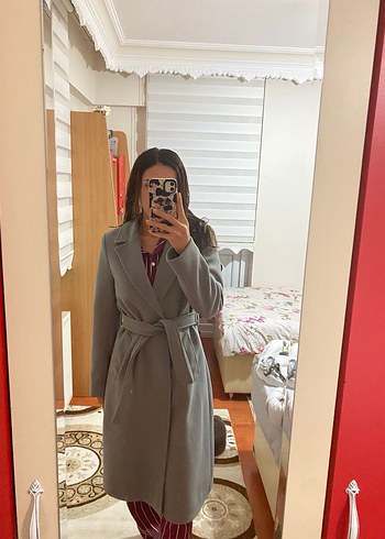 Gri Kuşaklı Kaban - Görsel 5