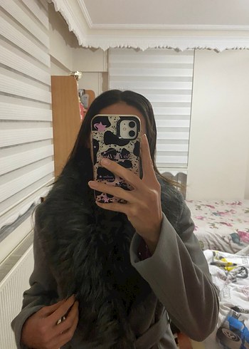 Gri Kuşaklı Kaban - Görsel 3