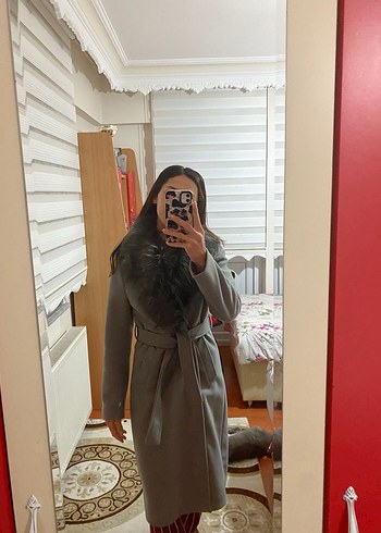 Gri Kuşaklı Kaban - Görsel 2