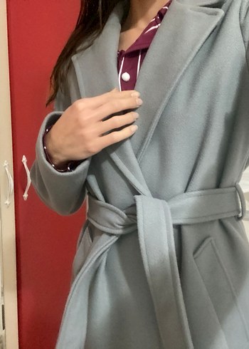 Gri Kuşaklı Kaban - Görsel 4