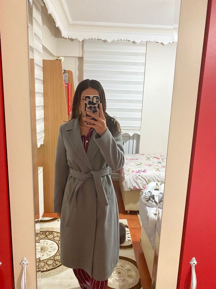 Gri Kuşaklı Kaban - Görsel 5