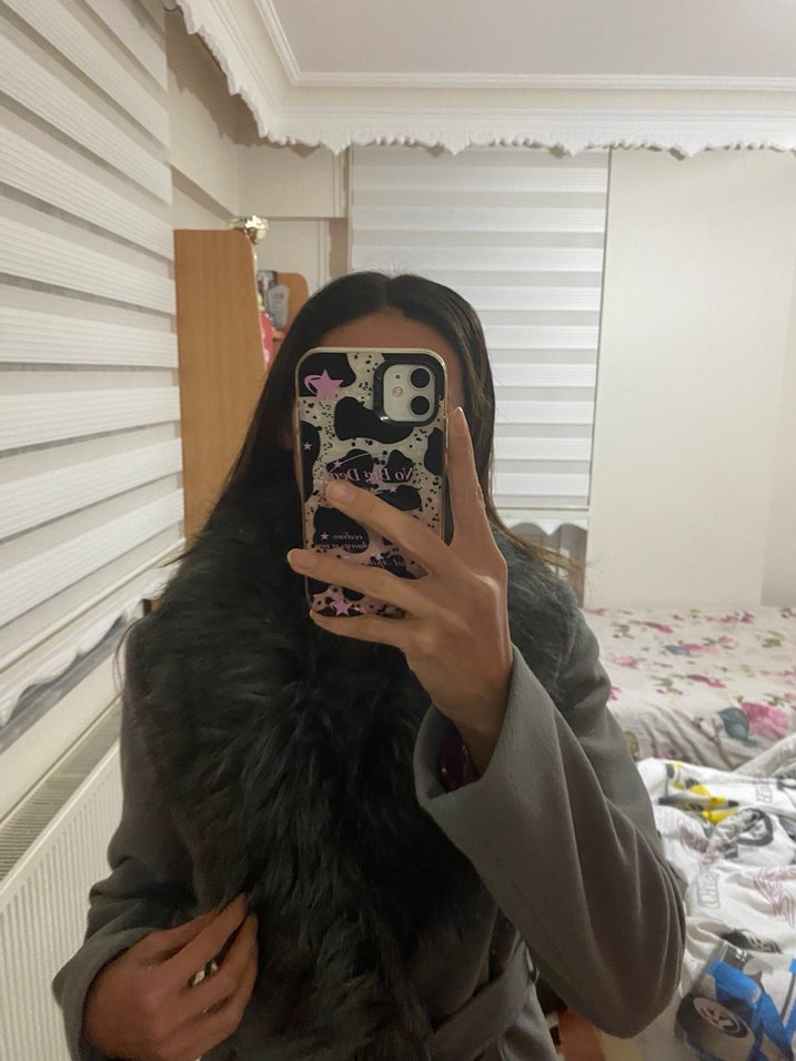 Gri Kuşaklı Kaban - Görsel 3