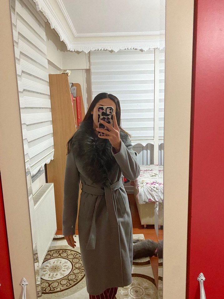 Gri Kuşaklı Kaban - Görsel 2