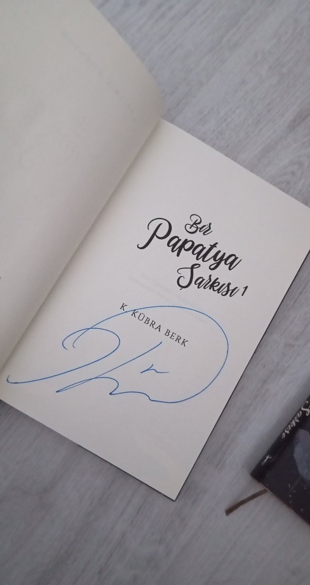 Bir Papatya Şarkısı 1 ve 2 - Görsel 2