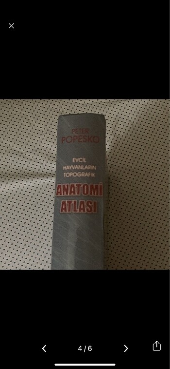  Beden Peter POPESKO Veteriner Anatomi Atlası