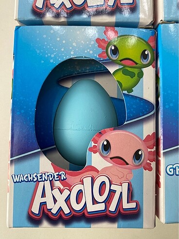  Beden Renk Axolotl (figür) yetiştirme yumurtası