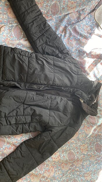 stradivarius mont