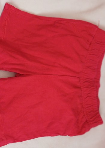 Renkli Baskılı Erkek Şort - Görsel 4