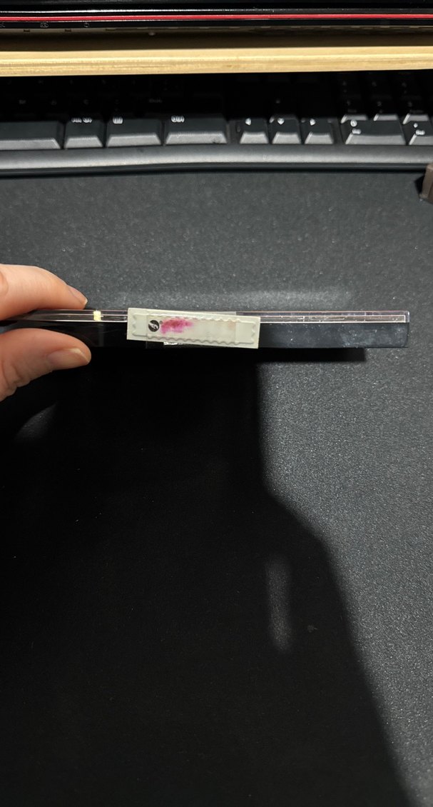 Maybelline Nudes of New York Göz Farı Paleti - Görsel 2