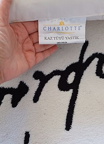 Charlotte Russe Kaz tuyu yastık
