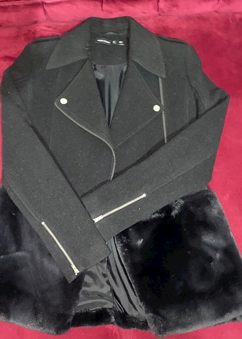 Siyah Kürklü Kaban - Görsel 3