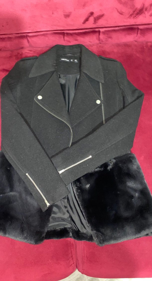 Siyah Kürklü Kaban - Görsel 3