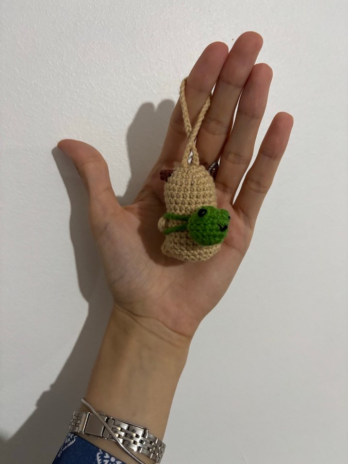 Capybara anahtarlık - Görsel 4