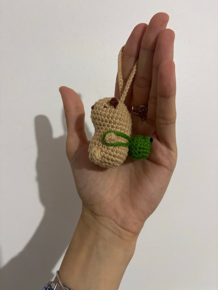 Capybara anahtarlık - Görsel 3