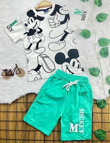 Erkek çocık mickey mouse takım