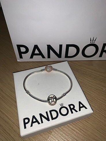Pandora Pandora charm