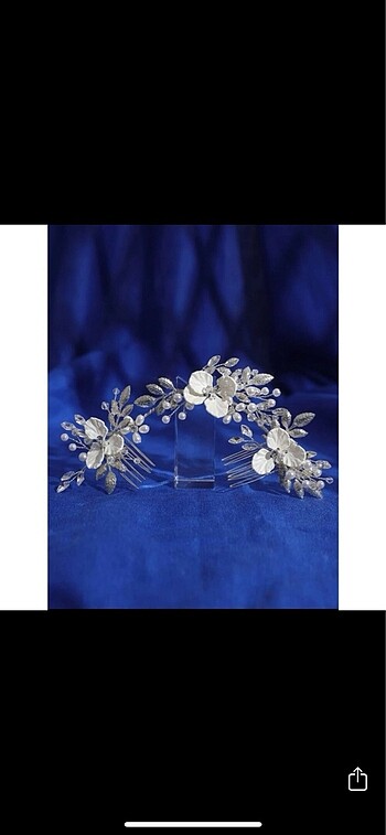 Zara Silver toka