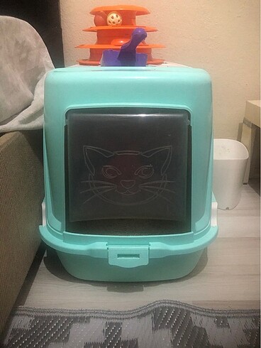 Kedi tuvaleti 
