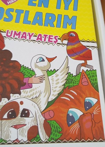 Beden Renk Okuyorum Anlıyorum Çözüyorum - En İyi Dostlarım