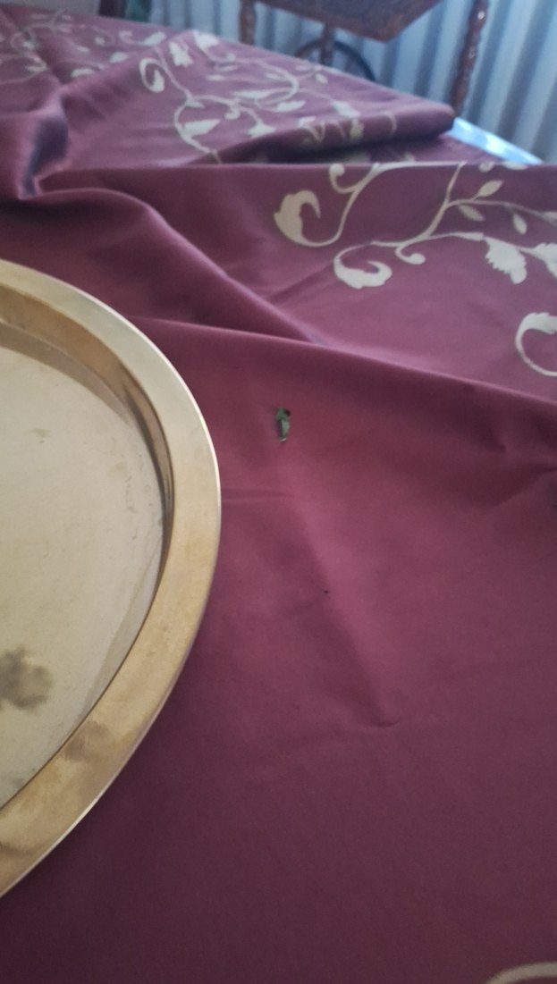 Parlak Altın Renk Yuvarlak Tepsi - Görsel 3