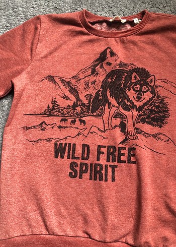 Baskılı Erkek Sweatshirt - Görsel 2