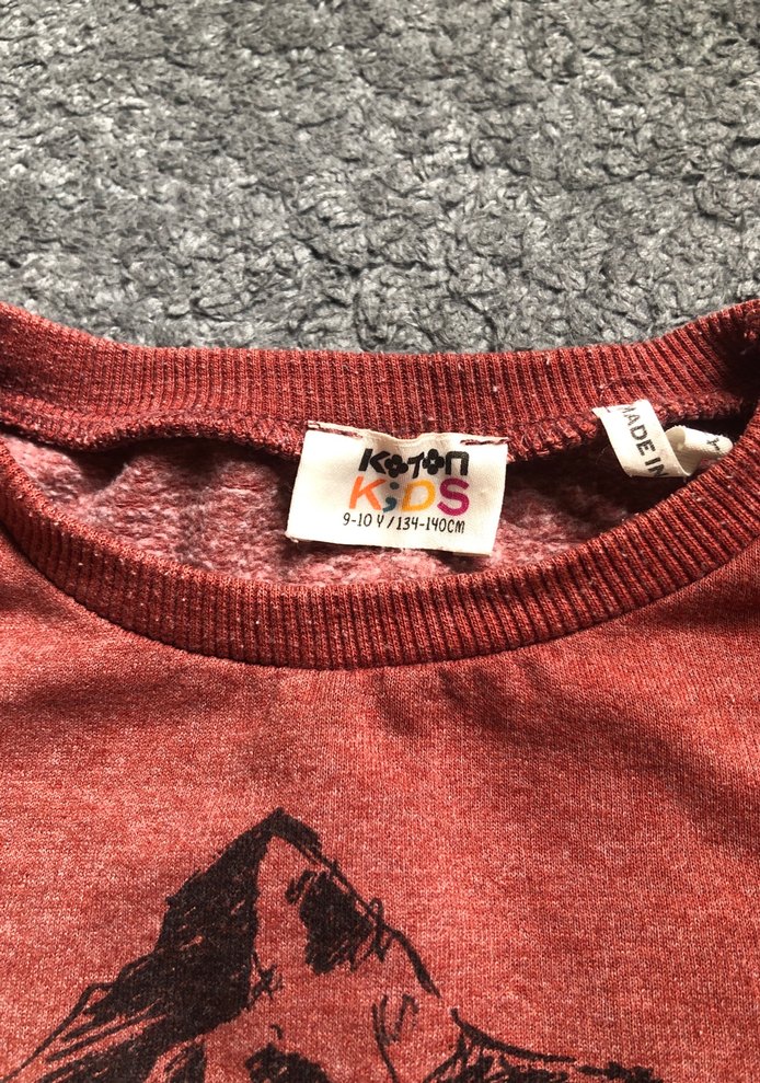 Baskılı Erkek Sweatshirt - Görsel 3