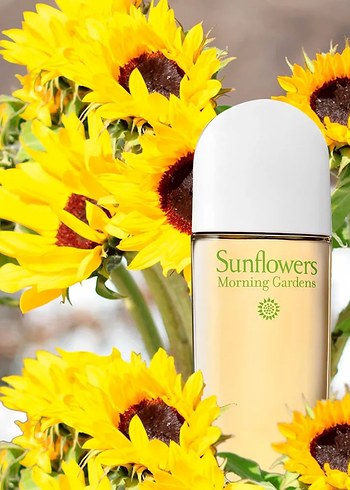 Beden 3 ML Elizabeth Arden Sunflowers Morning Gardens EDT