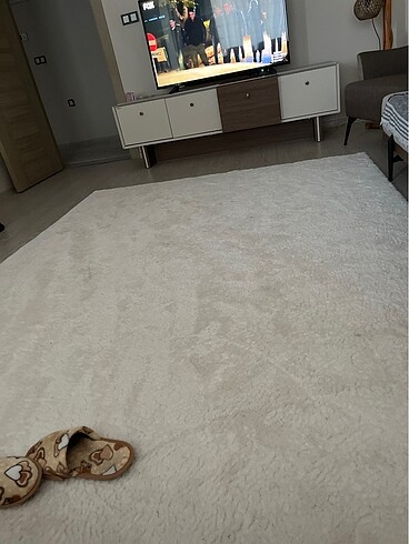 Salon halısı