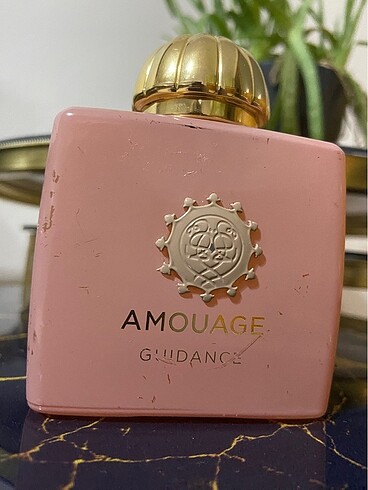 Amouage guidance 100 ml