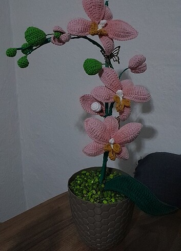 Solmayan Orkide 3'lü ve tomurcuklu