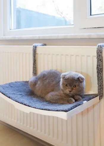 Gri Kedi Radyatör Yatağı