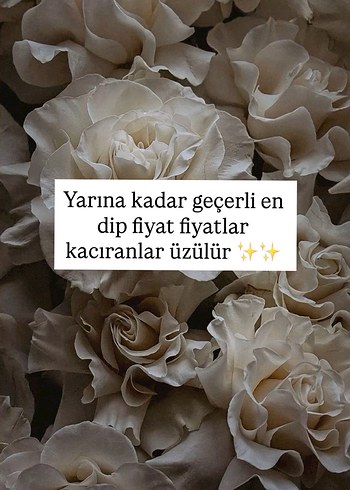 2 adet halı tek fiyat 200/100 120/180 ölçü - Görsel 2