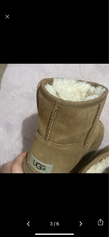 38 Beden Ugg bot