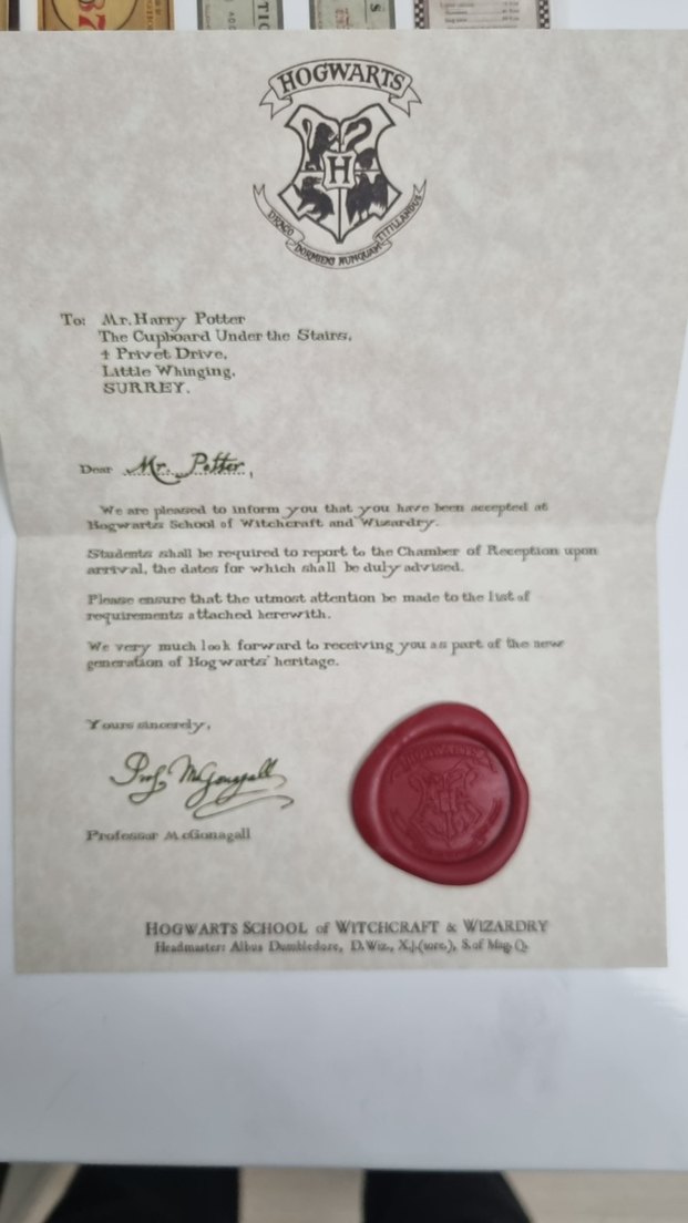 Harry Potter Ajandası ve Sihirli Sticker Seti - Görsel 3