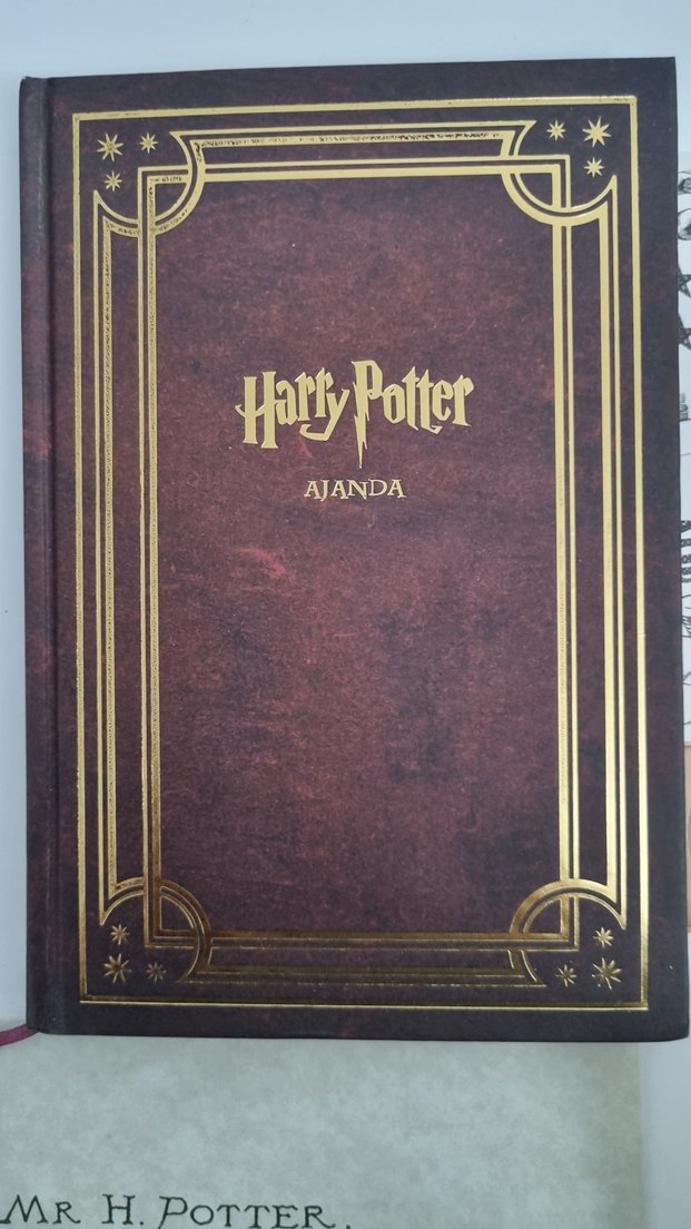 Harry Potter Ajandası ve Sihirli Sticker Seti - Görsel 5