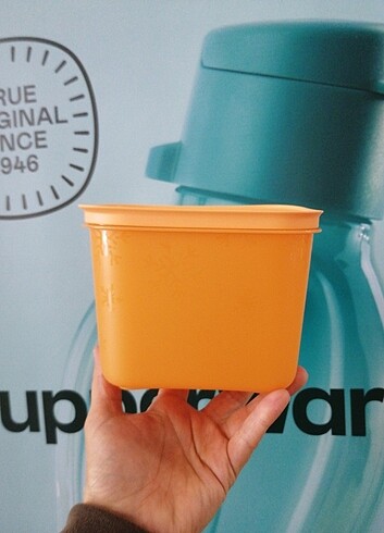 Tupperware Alaska 1 lt 