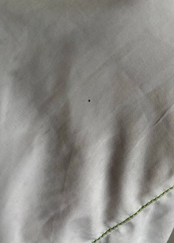 Adidas Mini Kemerli Şort 42/44 - Görsel 6