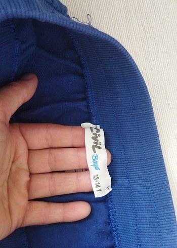 Renkli Baskılı Mavi Erkek Şort - Görsel 3