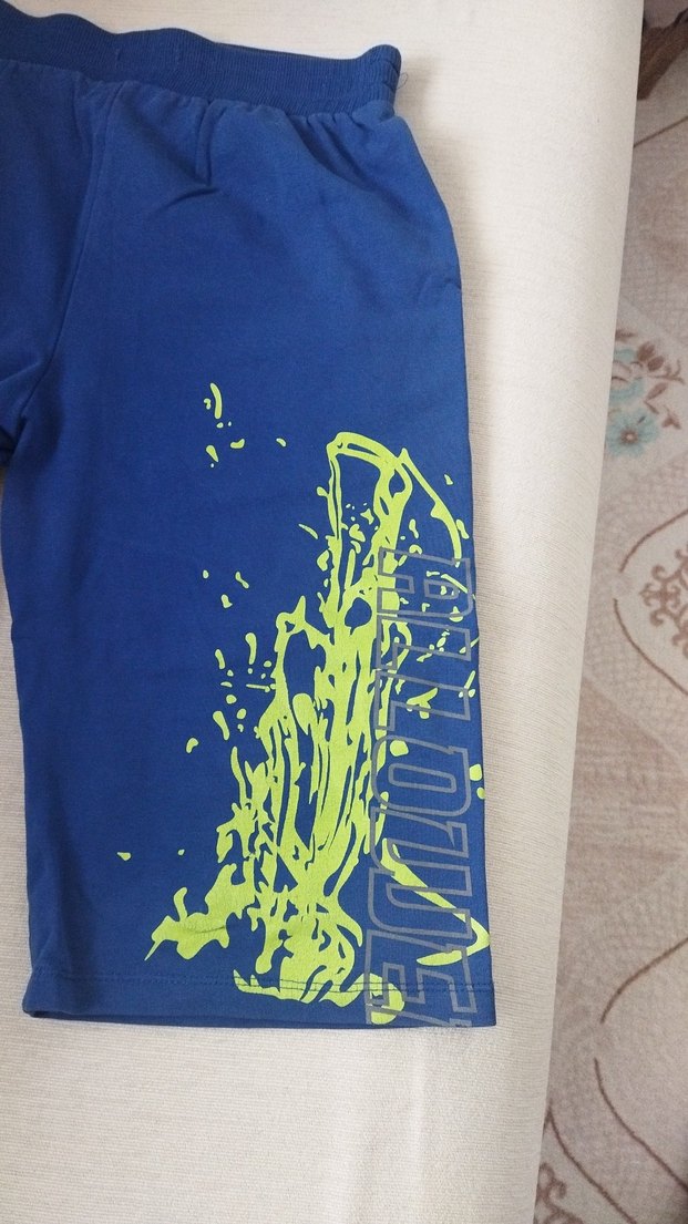 Renkli Baskılı Mavi Erkek Şort - Görsel 2