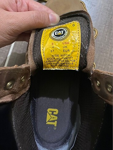 37 Beden camel Renk Cat bot