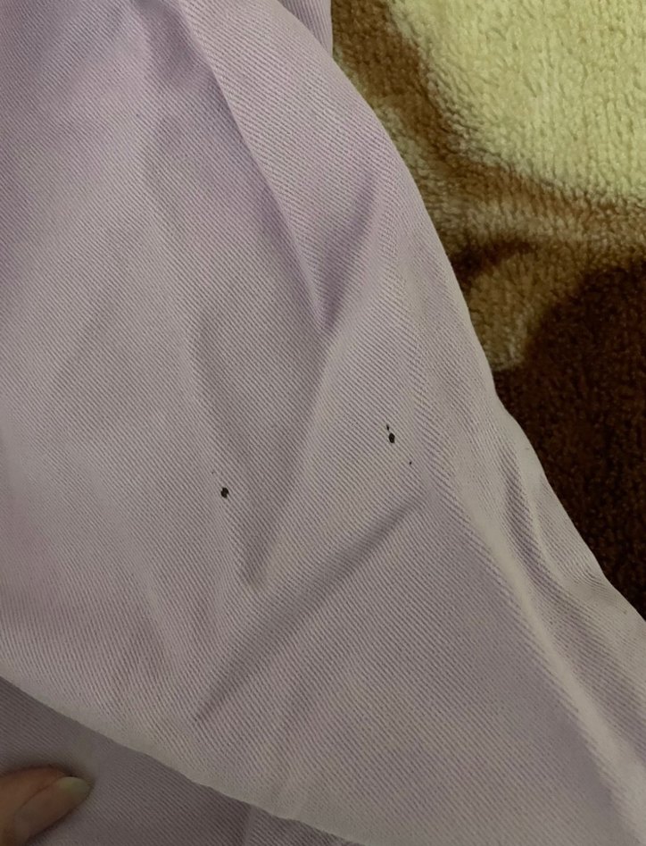 Lila Düğmeli Kadın Kumaş Pantolon - Görsel 3