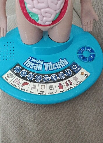 Diğer İnteraktif insan vücudu Birlik oyuncak
