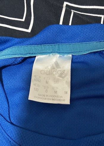 Erkek Mavi Kısa Kollu Spor Tişört - Görsel 5