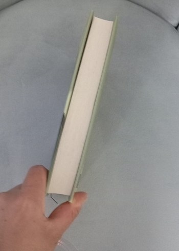 Ben Ölmeden Önce - Meryem Barat - Görsel 2