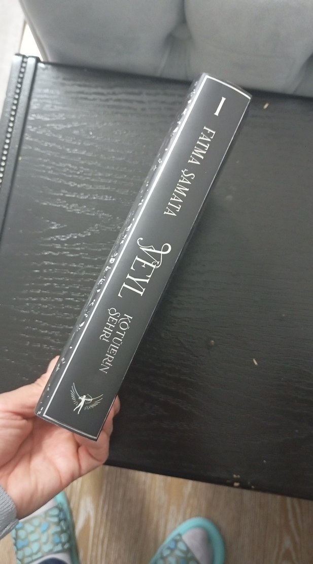 veyl - Kötülerin  Şehri Romanı - Görsel 3