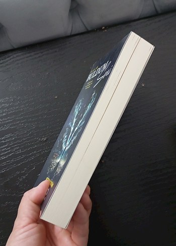 Buldum Seni - Ecem Nurlar Demir - Görsel 4