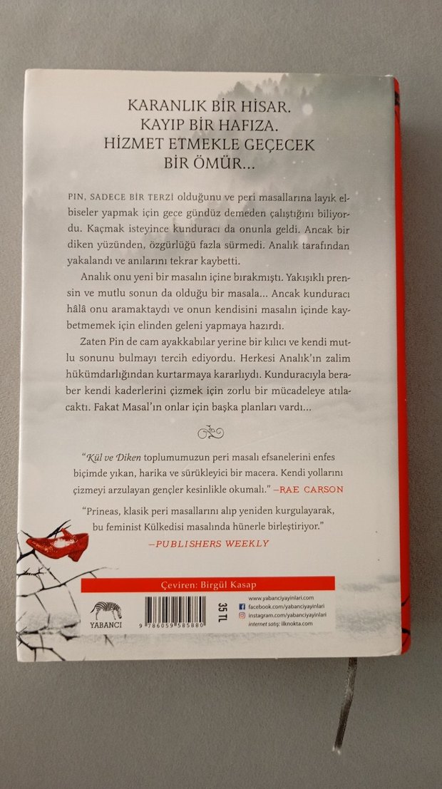 kül ve diken - Görsel 2